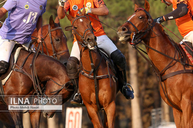  هفته پنجم لیگ ملی چوگان (گزارش تصویری)