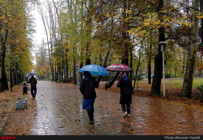 بارش باران در رشت