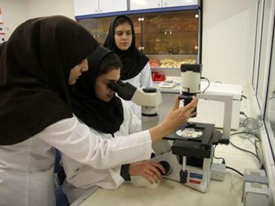 سهمیه کنکور بهیاران بازگردانده شد