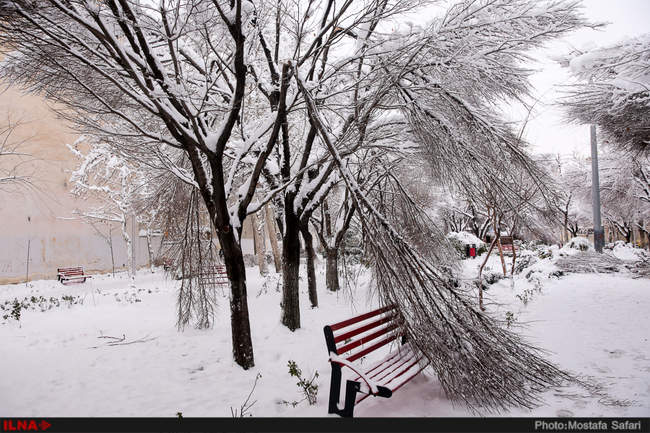 سوءمدیریتی که لبخند شادی را بر لبان تهرانی‌ها خشکاند