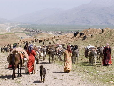 کوچ پاییزه عشایر لرستان آغاز شد