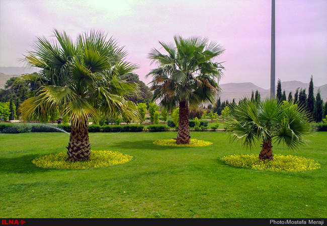 نگاهی به جاذبه های گردشگری شهر تاریخی شیراز