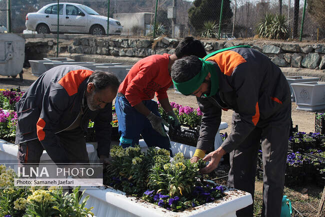 مشهد در تدارک استقبال از بهار ۱۴۰۲ 