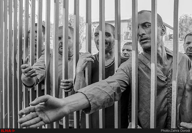 تنهایی پر هیاهو / استان قم