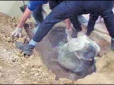 مدفون کردن برادر کف سالن پذیرایی