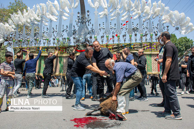 عاشورا 1401 در قزوین