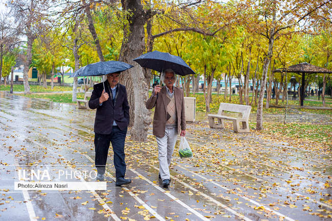 بارش اولین باران پاییزی در قزوین