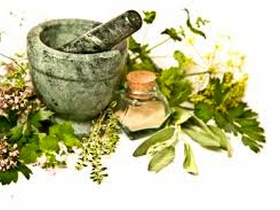 گیاهان دارویی که باید همیشه در خانه داشته باشید