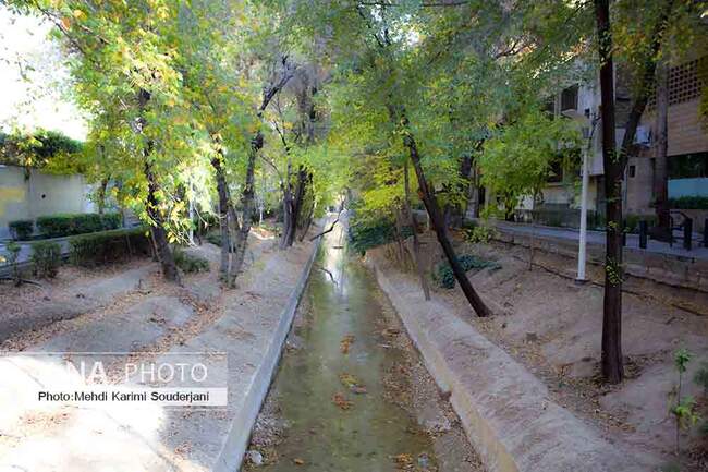 IMG_9055 copy