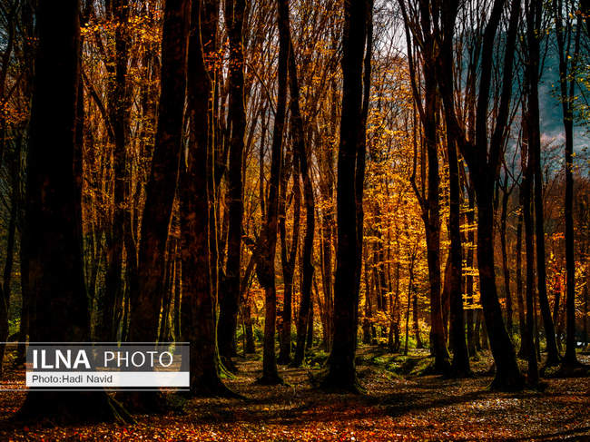 طبیعت استان گلستان