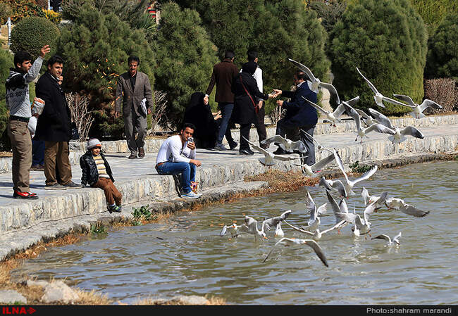 ایران در قاب / سی و سه پل اصفهان
