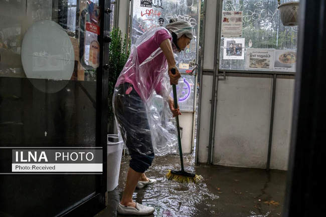 سیل در نیویورک