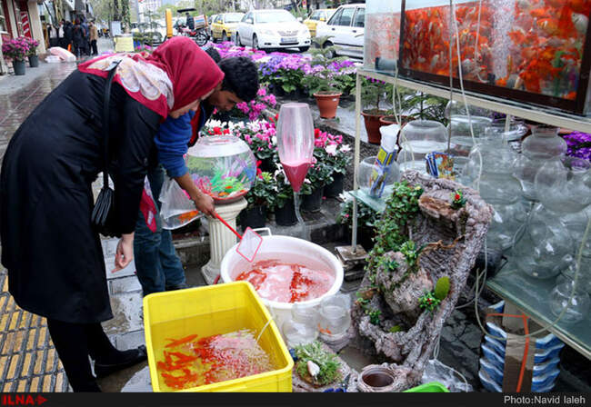 تهران در آستانه سال نو