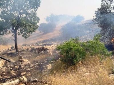 ۱۰ هکتار از مراتع جنگلی گیلانغرب در آتش سوخت