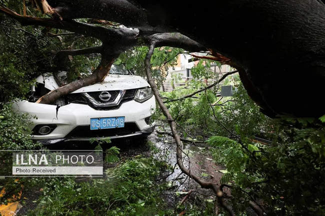 تصاویری از خسارات طوفان راگاسا در جنوب چین 