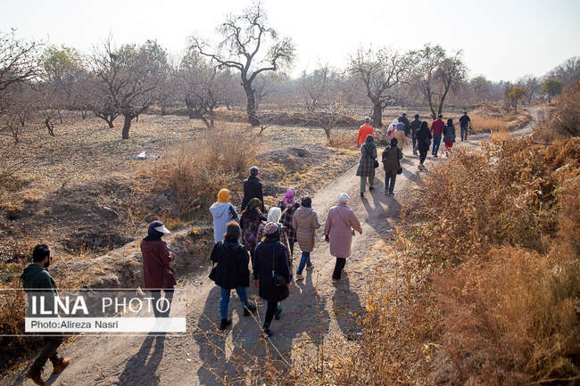 باغستان سنتی؛ میراث کهن مردم قزوین 