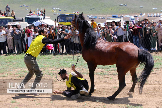 برگزاری سی‌امین جشنواره فرهنگی، ورزشی عشایر آذربایجان