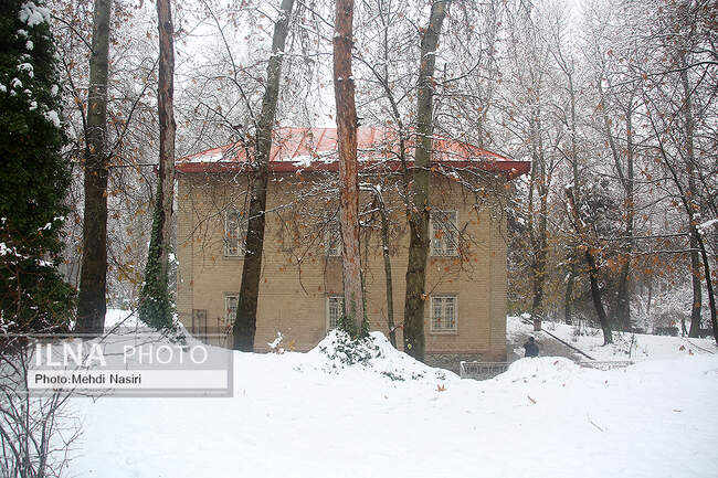 برف زمستانی در سعدآباد