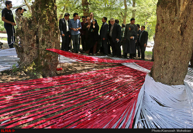 سفر معصومه ابتکار به استان مازندران به مناسبت روز حفاظت از جنگل ها