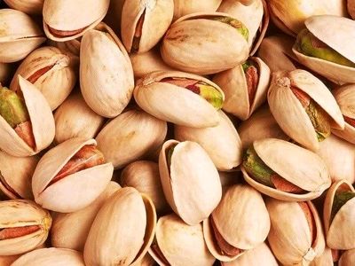 پسته قم، باغداری باستانی
