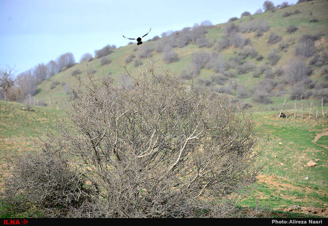 ایران زیبا/ روستای داماش