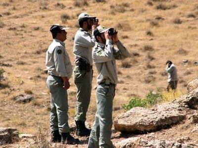مجروح شدن ۳ محیط‌بان در کردستان 

