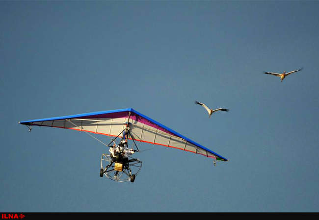 سرگرمی های پوتین