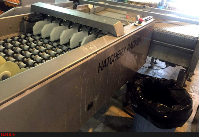 بازدید از کارخانه خوراک طیور ارتا جوجه سبلان در اردبیل