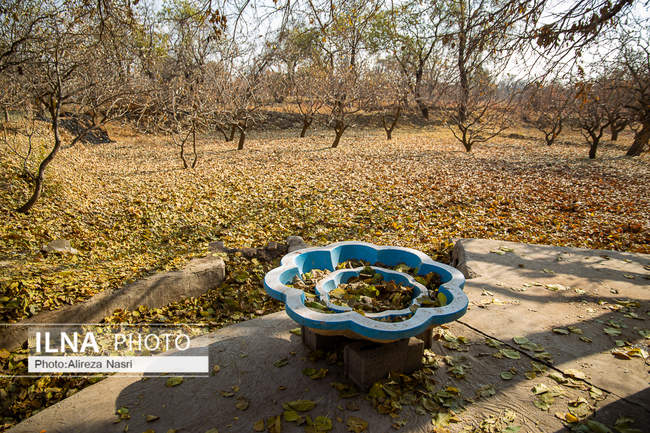 باغستان سنتی؛ میراث کهن مردم قزوین 