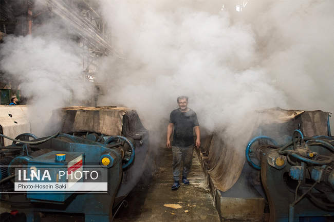 تولید شکر از چغندر قند 