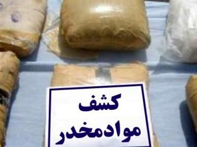 کلیات برنامه ی مبارزه با مواد مخدر تا یک ماه آینده اعلام شوند
