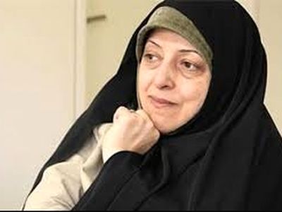 سازمان جنگل‌ها، برنامه احیاء جنگل‌های بلوط را تدوین می‌کند