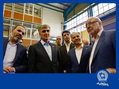 دکتر فرزین: انرژی خورشیدی از مهم‌ترین اولویت‌های رئیس‌جمهور است