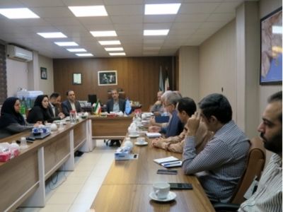 پیشنهاد ارائه بسته‌های مشوق سرمایه‌گذاری در بخش شیلات خوزستان