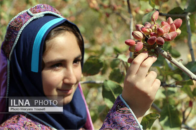 m5