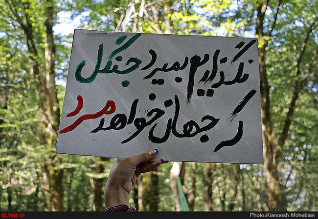 سفر معصومه ابتکار به استان مازندران به مناسبت روز حفاظت از جنگل ها