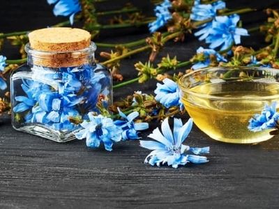 طرز تهیه شربت عرق کاسنی