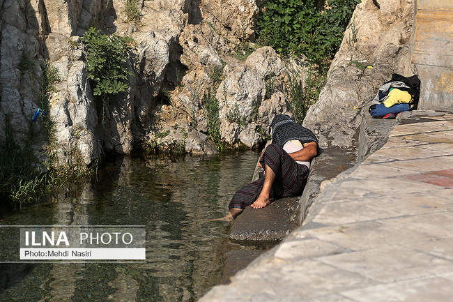 کرونا شنا را در چشمه علی متوقف نکرد!