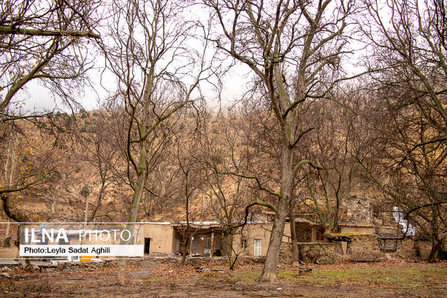 حمایت کمیته امداد امام خمینی(ره) از طرح های اشتغالزایی و تولید درشهرس