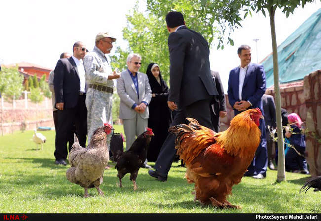 سفر محمد باقر نوبخت، معاون ریاست جمهوری به قزوین