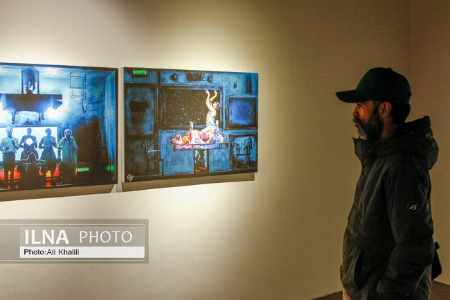 افتتاحیه نمایشگاه عکس «باله در تاریکی»