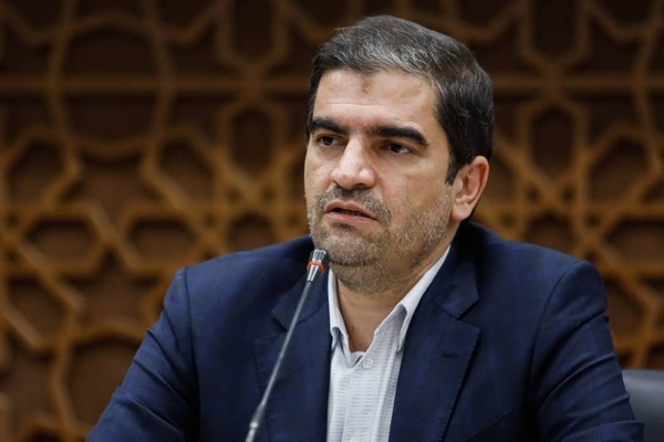 قاضی زاده هاشمی: وزارت ورزش باید بودجه سالیانه کشتی را پرداخت کند