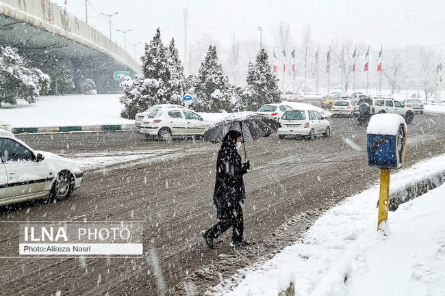 قزوین در آغوش برف به روایت تصویر