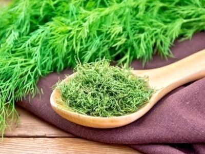 آموزش روش های مختلف خشک کردن شوید  