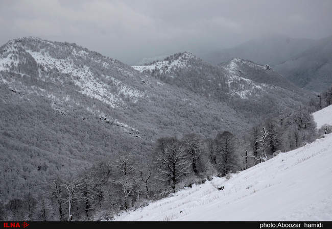 طبیعت زمستان ییلاق اسالم تالش گیلان