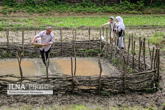 موزه میراث روستایی گیلان
