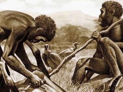 انسان‌ها از چه زمانی شروع به پوشیدن لباس کردند؟ 