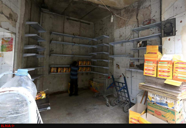 حلب در هفته ای که گذشت