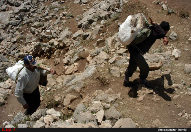 گذری بر بلندای بام گیلان (درفک) 