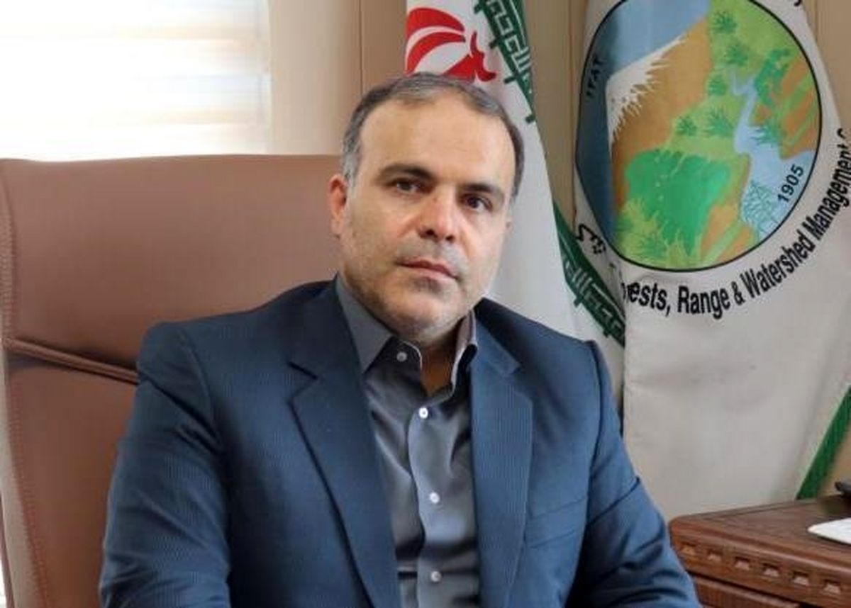 مدیرکل منابع طبیعی گیلان رئیس ستاد رئیسی شد